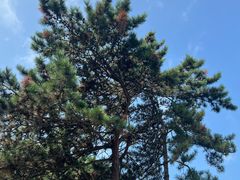 -长影旧址博物馆