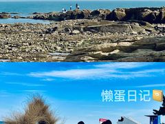 -巧克力渔家.小船海鲜胶东菜(万平口店)