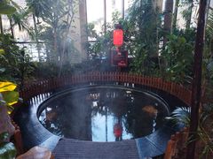 -东方华地城湿地温泉度假区