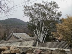 -潭柘寺景区