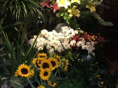 -春暖花开(西溪店)