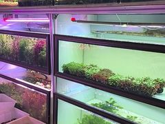 -花鸟鱼虫鲜花绿植市场(玉泉路店)
