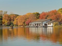 -上海共青森林公园