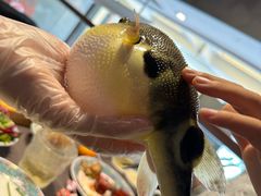 -肆月河豚·新淮扬(金融街店)