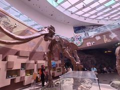 -陕西自然博物馆