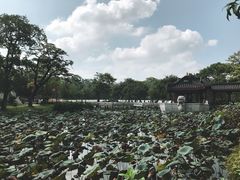 -惠州西湖丰渚园