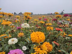 -足传奇足浴SPA(科技城店)