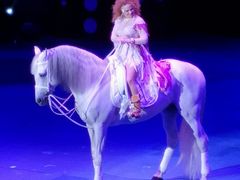 -珠海横琴长隆《卡卡虎奇遇记》