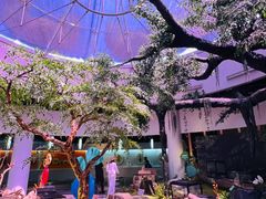 -陕西自然博物馆