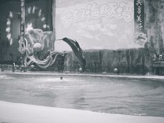 -华夏文旅海洋公园