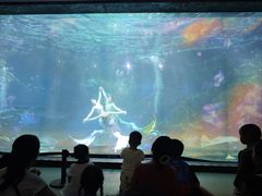 -海合安成都极地海洋公园