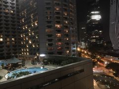 -新加坡瑞士史丹福酒店