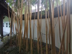 -杭州西湖风景名胜区-白苏二公祠