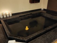 -春晖园度假酒店温泉