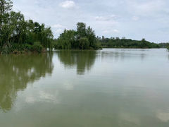 -白鹭湾湿地公园