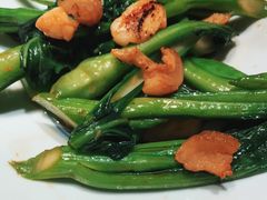 猪油渣炒菜芯-大榕树下顺德菜(融创茂店)