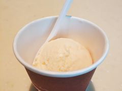 哈密瓜口味单球-哈根达斯(绍兴银泰店)