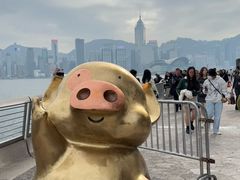 -星光大道