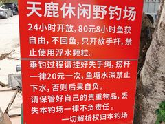 -天鹿湖森林公园