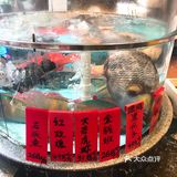 顺德排队俩小时的私房菜，能不能吃到看命
