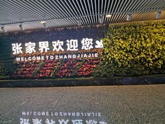 -张家界荷花国际机场