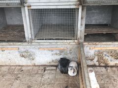 -晶宝温泉农庄
