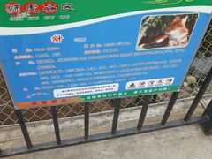 -石家庄市动物园