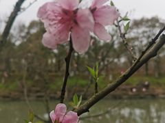 -狼山风景名胜区