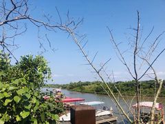 -东寨港红树林旅游区