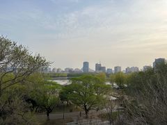 -莲花池公园