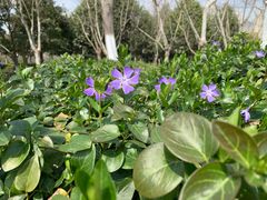 -白塘生态植物园