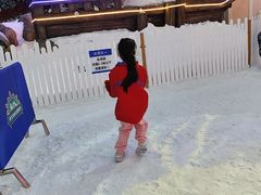 -世界之窗阿尔卑斯冰雪世界