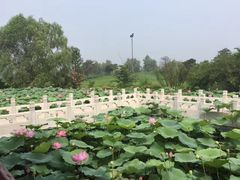 -大明幻境第一城