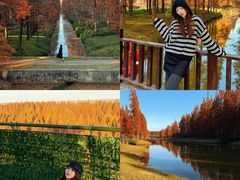 -黄海国家森林公园