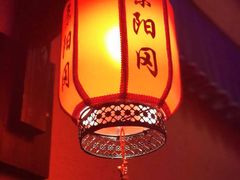 -山水雅居·江南雅宴(运河公园店)
