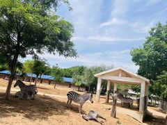 -石家庄市动物园