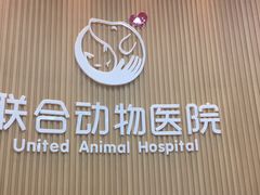 -联合动物医院(光谷诊疗中心)