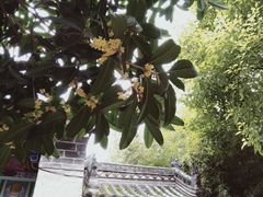 -罔极寺