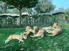 -北京野生动物园