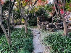 -秋霞圃