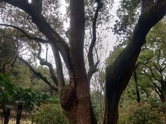 -徐家汇源景区-衡山公园