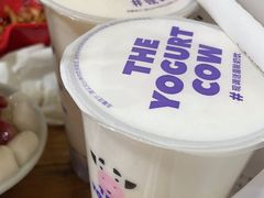 -一只酸奶牛(奎星楼店)