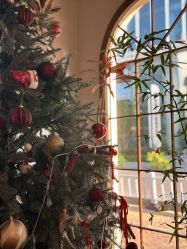 -WAVE SODA摄影工作室