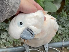 -南宫五洲植物乐园