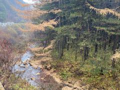 -秦岭风景区