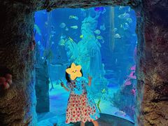 -沈阳海洋探索中心