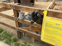 -静之湖度假区