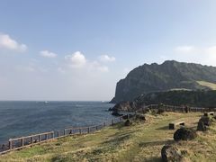 -涉地可支