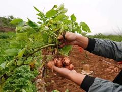 -兰剑驾校(汉阳校区)