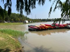 -上海海湾国家森林公园